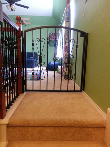 CG-001 custom wrought iron by Iron Passion LLC