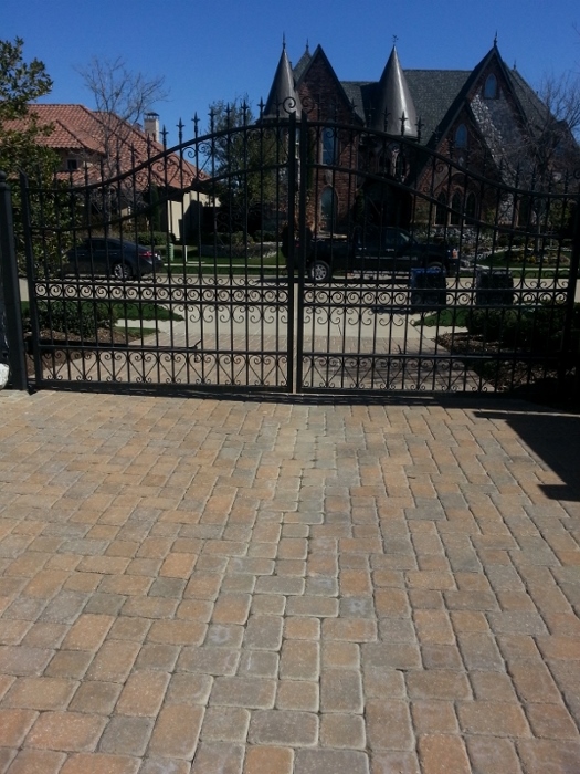 EG-019 custom wrought iron by Iron Passion LLC