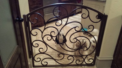 CG-018 custom wrought iron by Iron Passion LLC