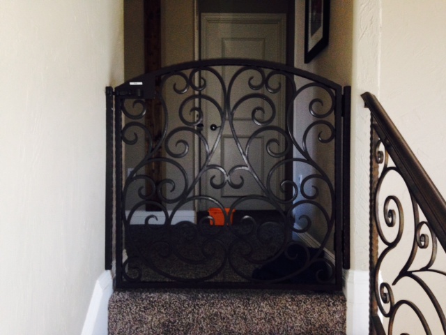 CG-017 custom wrought iron by Iron Passion LLC