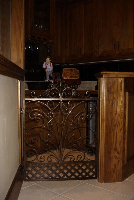 CG-006 custom wrought iron by Iron Passion LLC