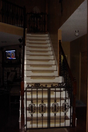 CG-013 custom wrought iron by Iron Passion LLC